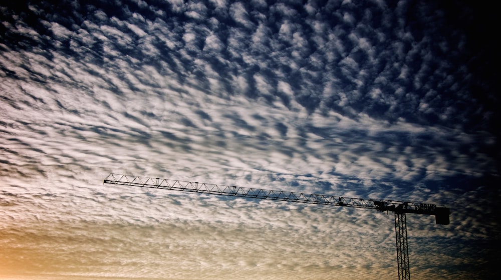 Foto de grulla y nubes blancas