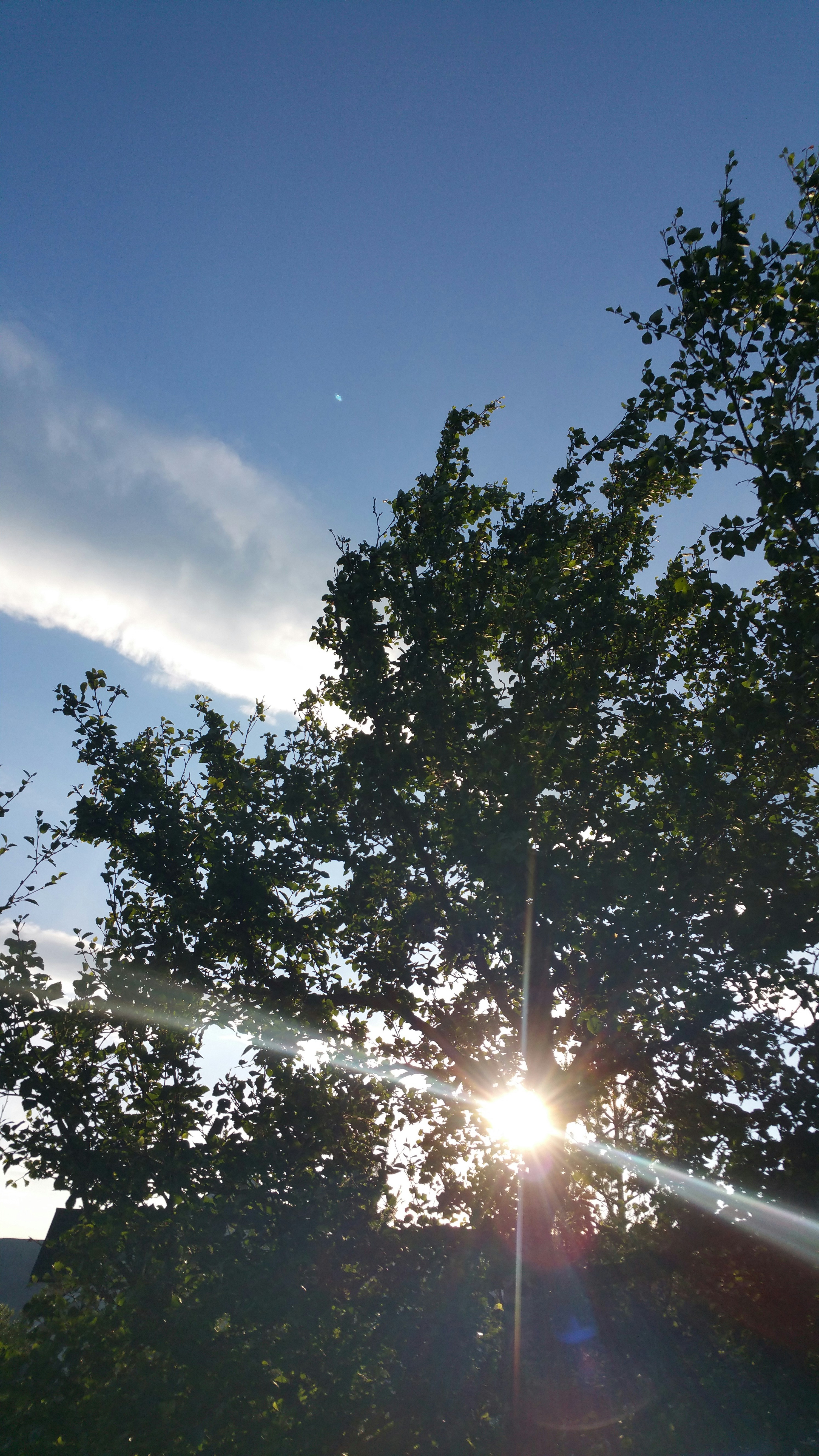 Free Unsplash photo from My Name