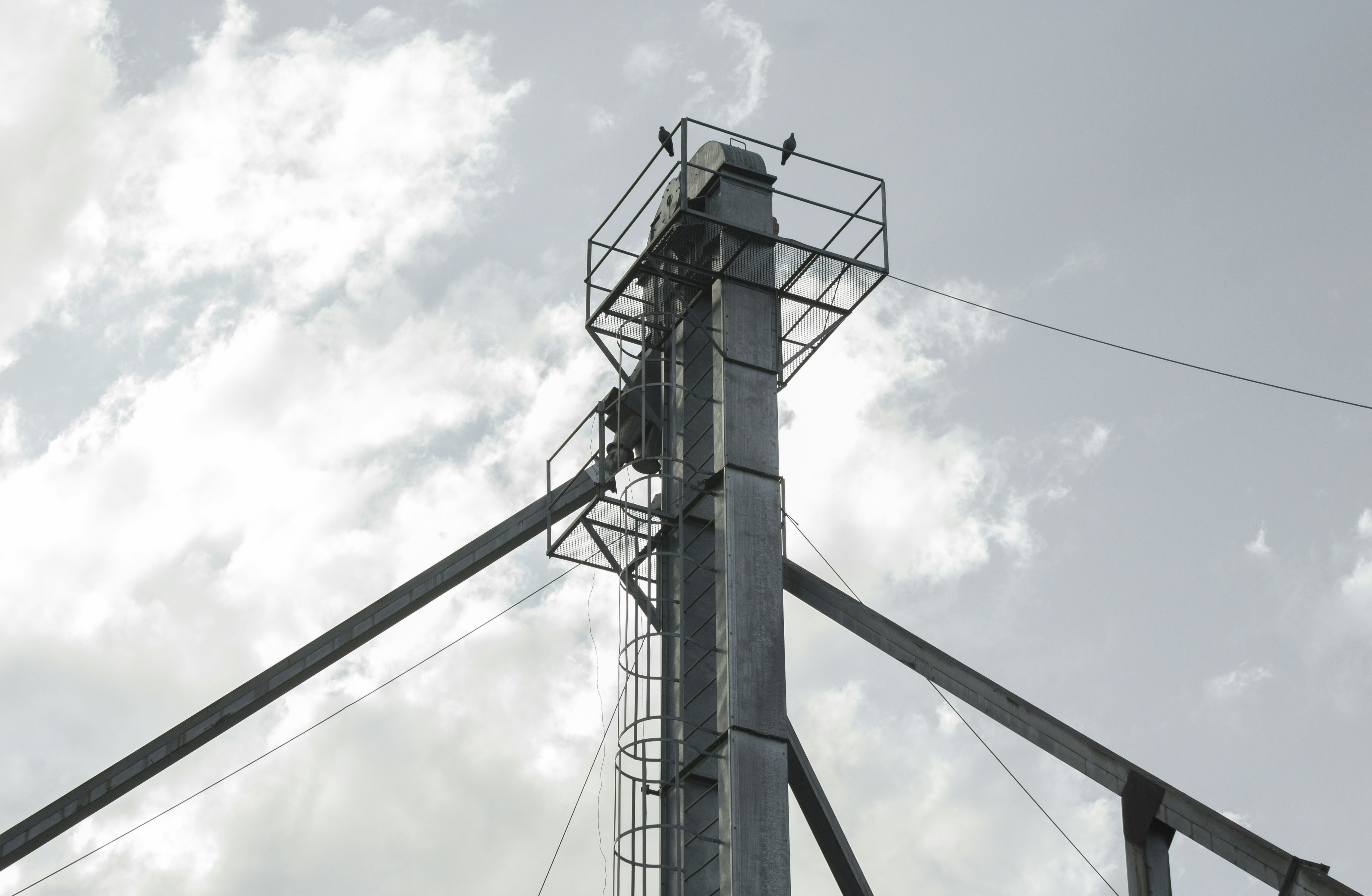 Free Unsplash photo from Alan Patrick