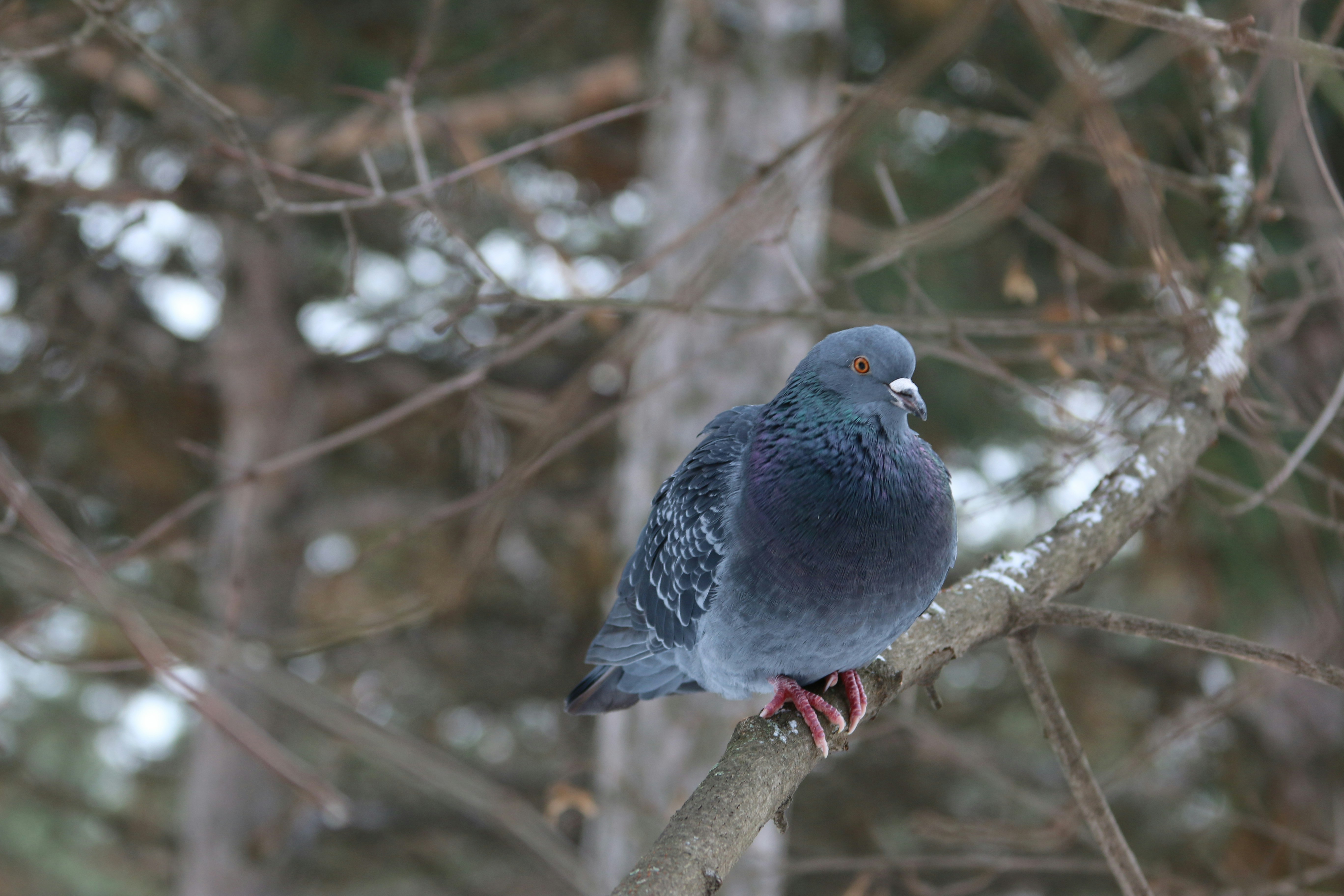 Free Unsplash photo from Inna_G