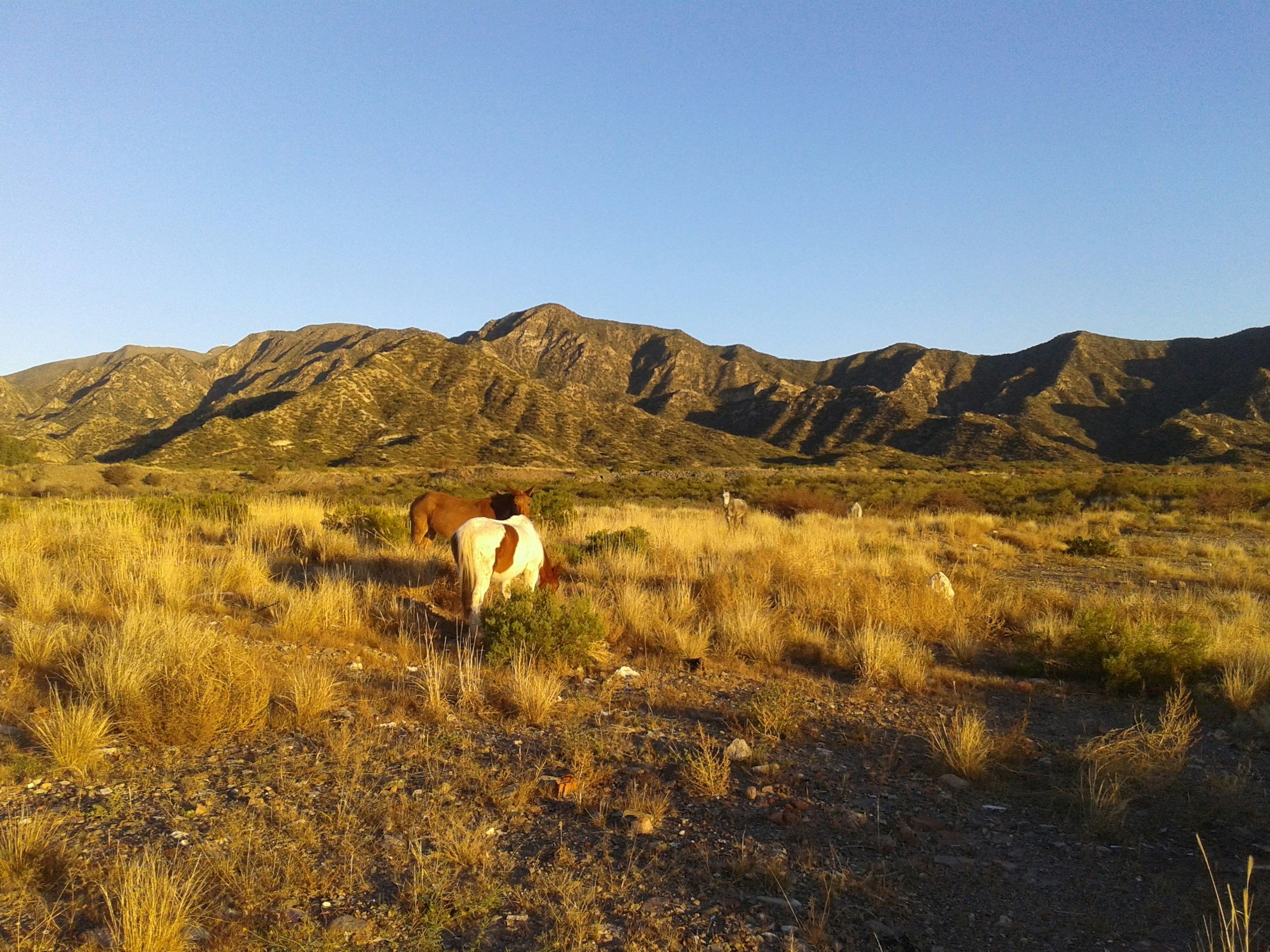 Free Unsplash photo from Dante Renda