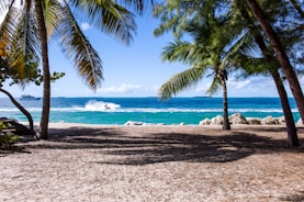 7 days bali tour package