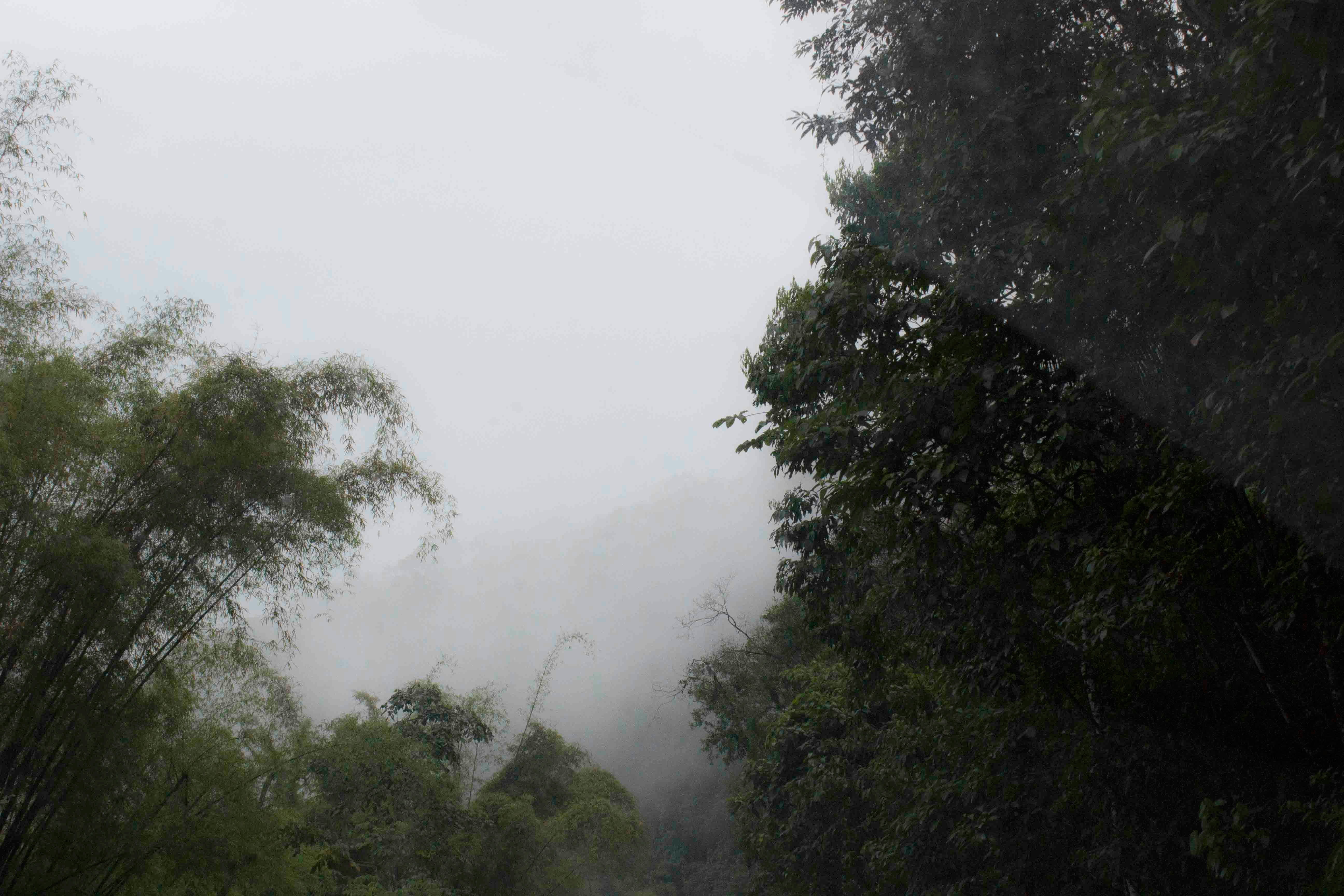 Free Unsplash photo from Sarah Bee