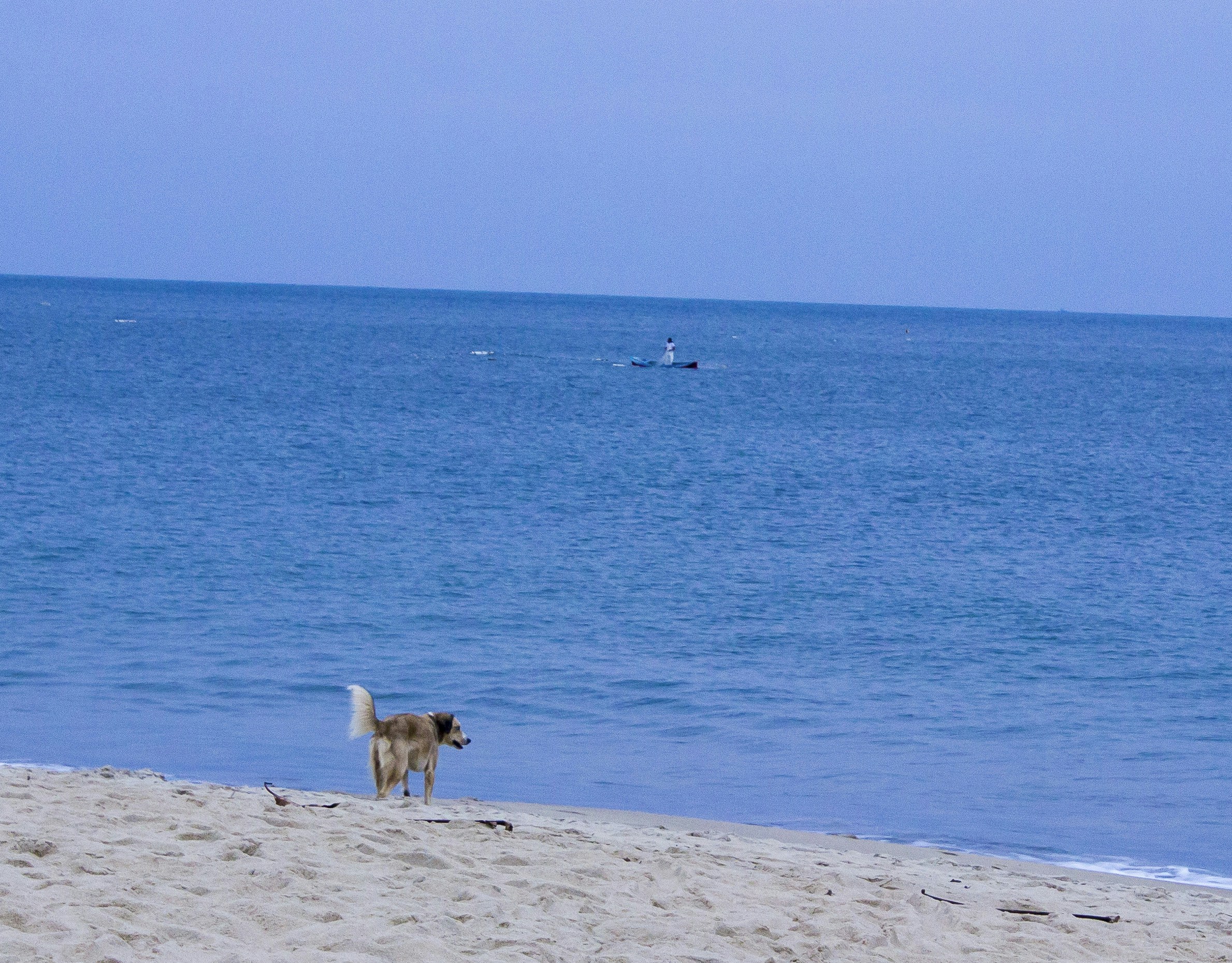 Free Unsplash photo from Sarah Bee