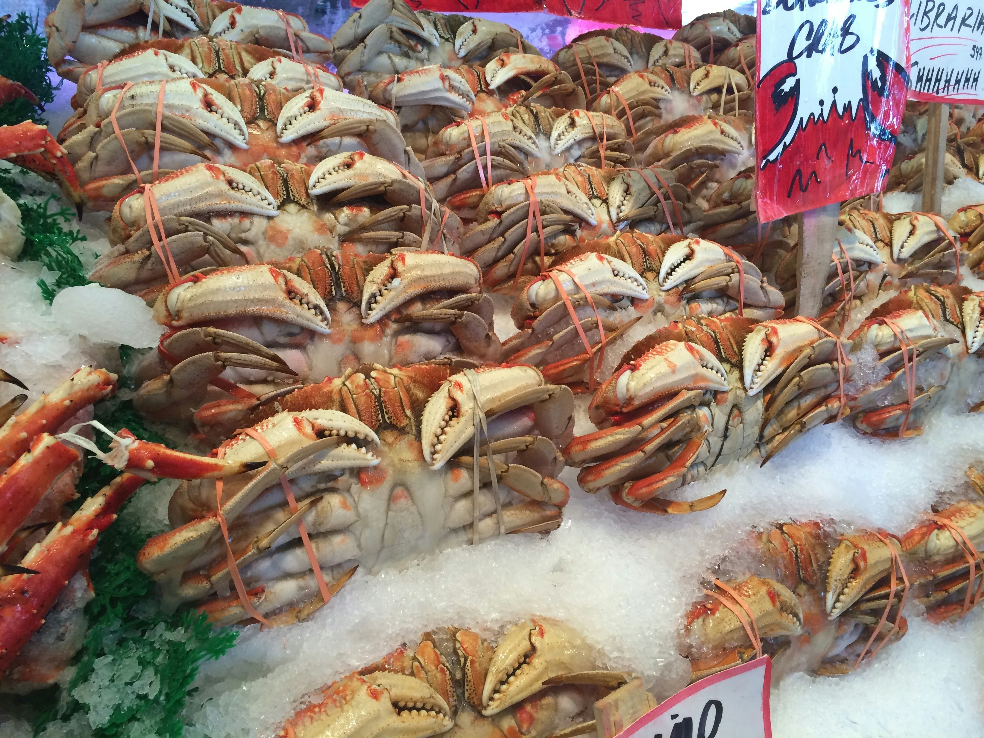 crab