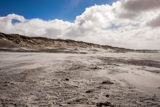brown sand in Hvide Sande Denmark