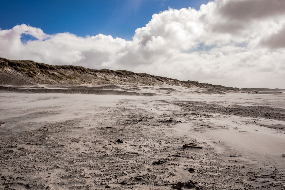 brown sand