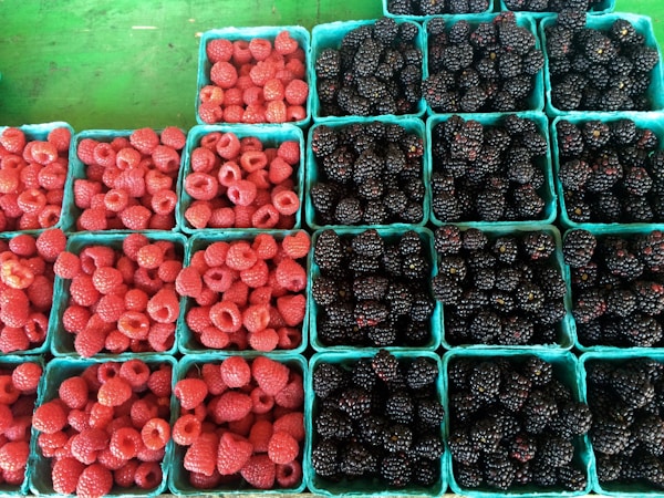 Les petits fruits: Guide de cueillette et conseils utiles