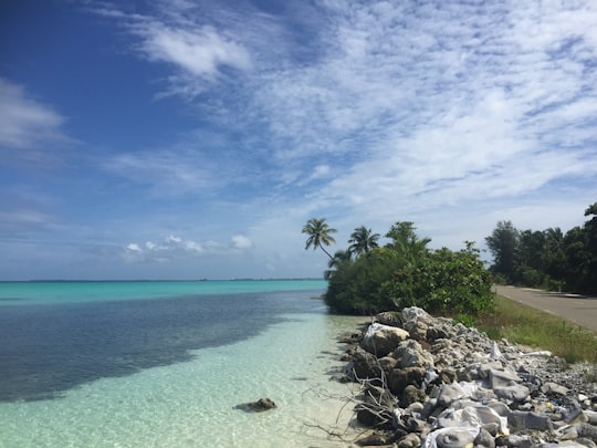 body of water near palm tree and road during daytime in Addu City Maldives