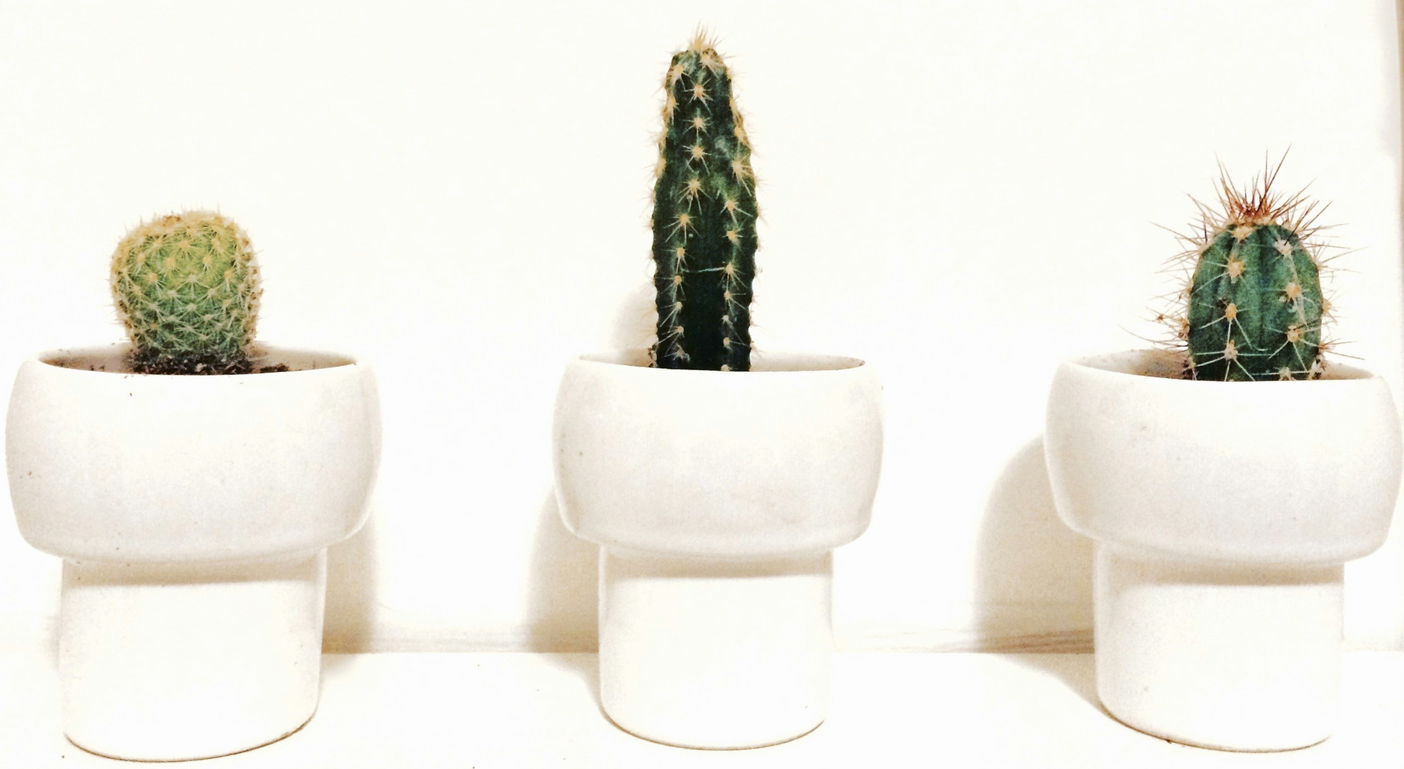 Free Unsplash photo from Maria Soledad