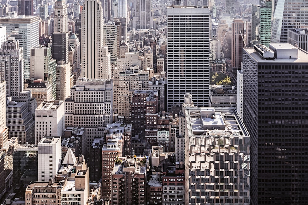 high-angle photography of city skyline