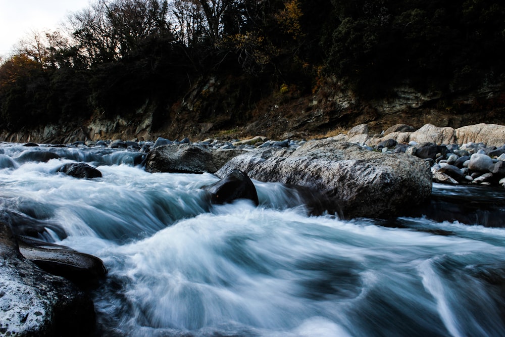 foto che mostra il fiume