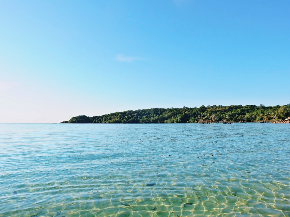 body of water near island during daytime