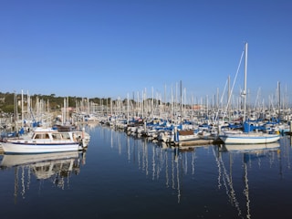 assorted-color yacht on body of water near dock under blue sky during daytime