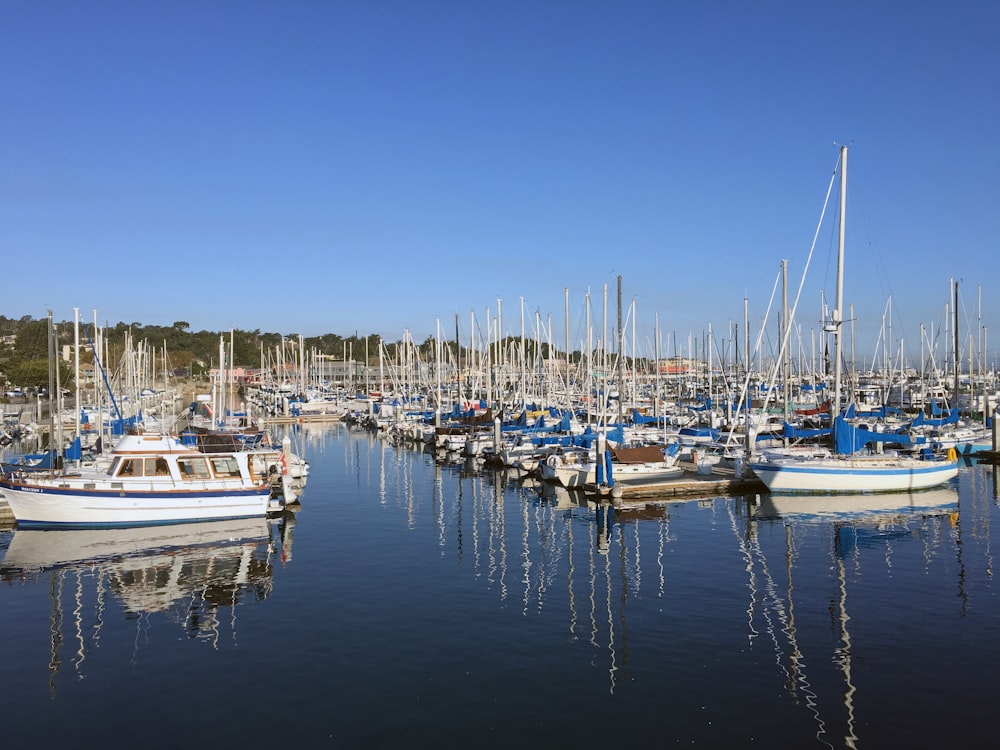 Verschiedenfarbige Yacht auf einem Gewässer in der Nähe des Docks unter blauem Himmel während des Tages