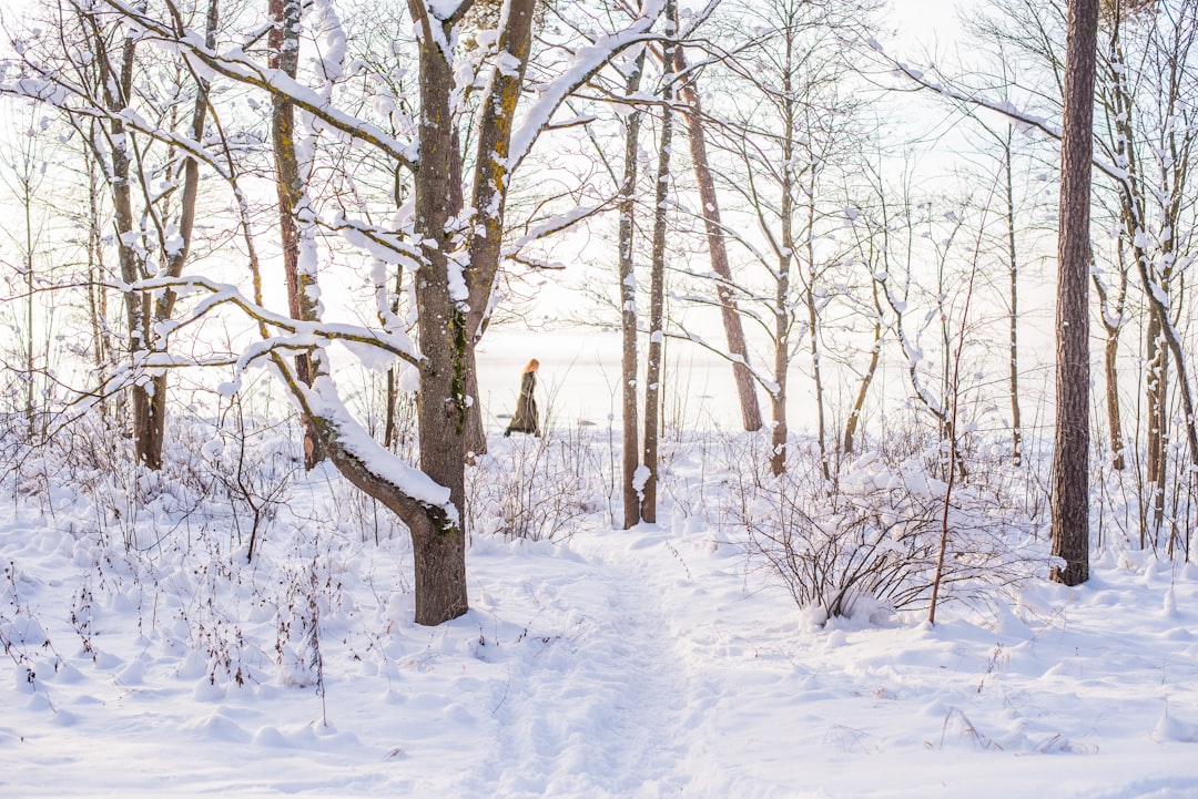 travelers stories about Forest in Pirita rand, Estonia