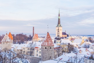 snow covered brown, white, and gray concrete castle under cloudy skies