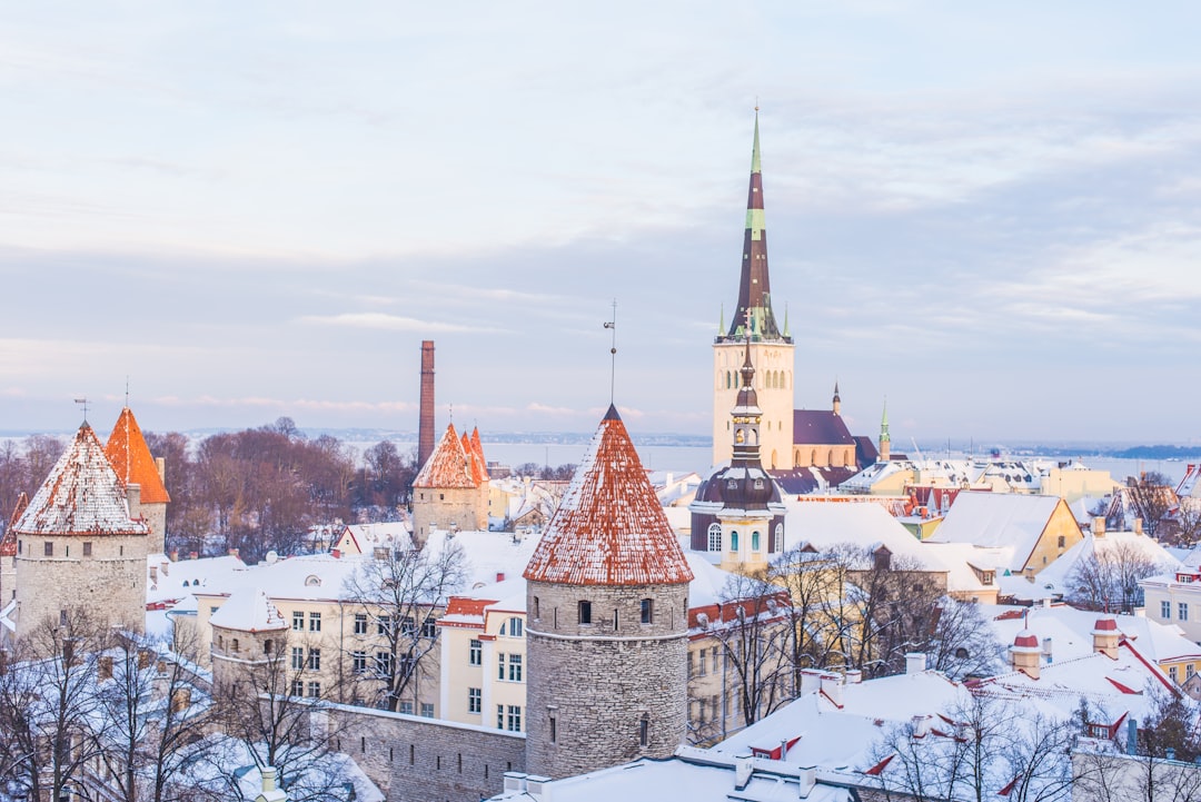 snow covered brown, white, and gray concrete castle under cloudy skies