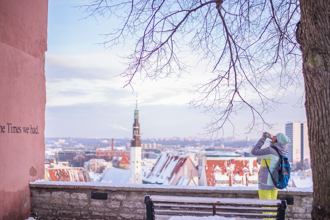 woman drinking near bench under tree, Backpacker over Tallinn’s Old Town