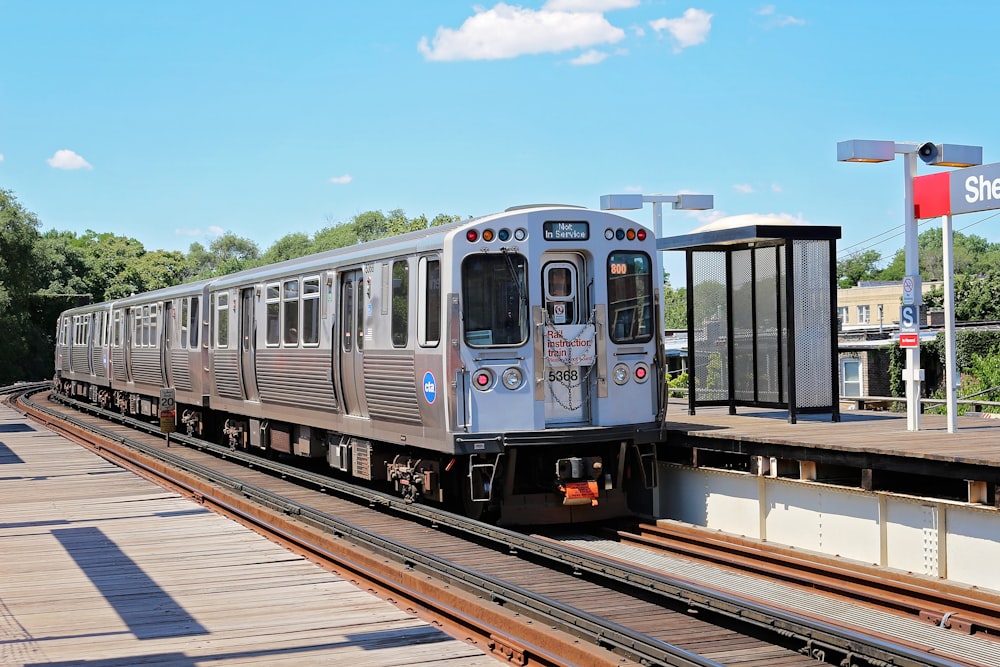 silver train near station