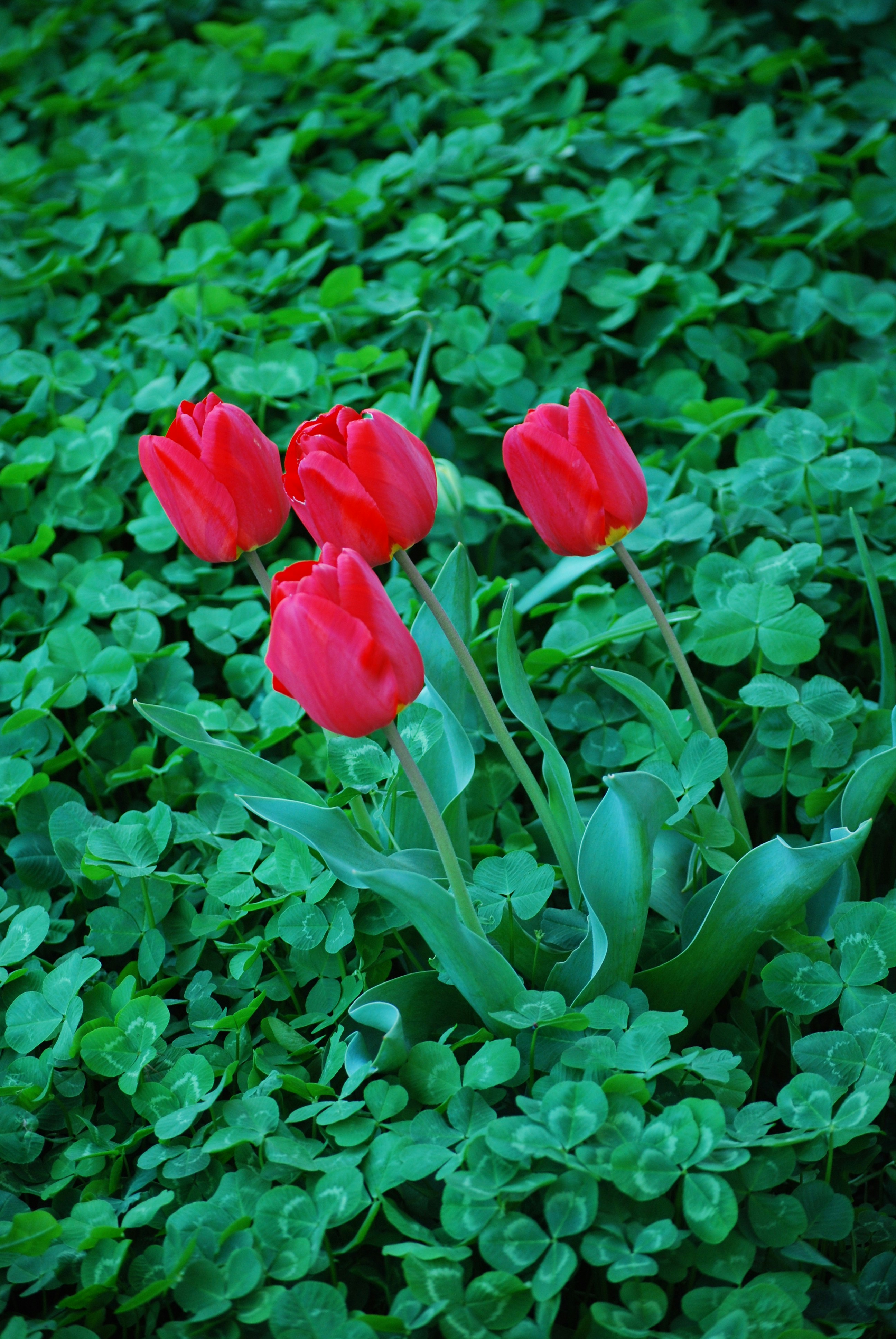 Free Unsplash photo from Vitali Seminenko