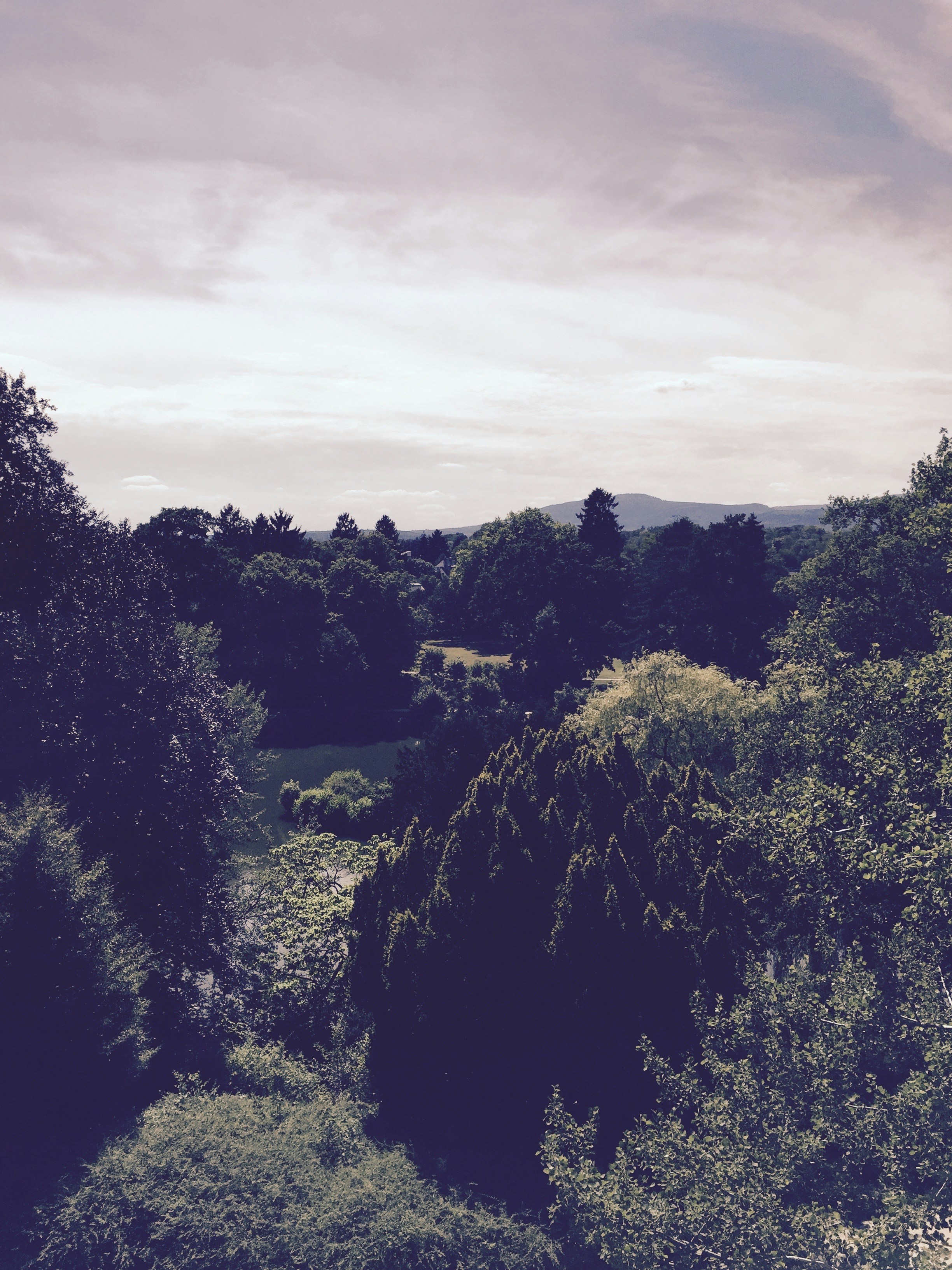 Free Unsplash photo from Ak Ka