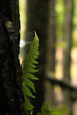 Photo 1452902163670 F391d0f18a66?q=85&w=300&h=400&fit=crop
