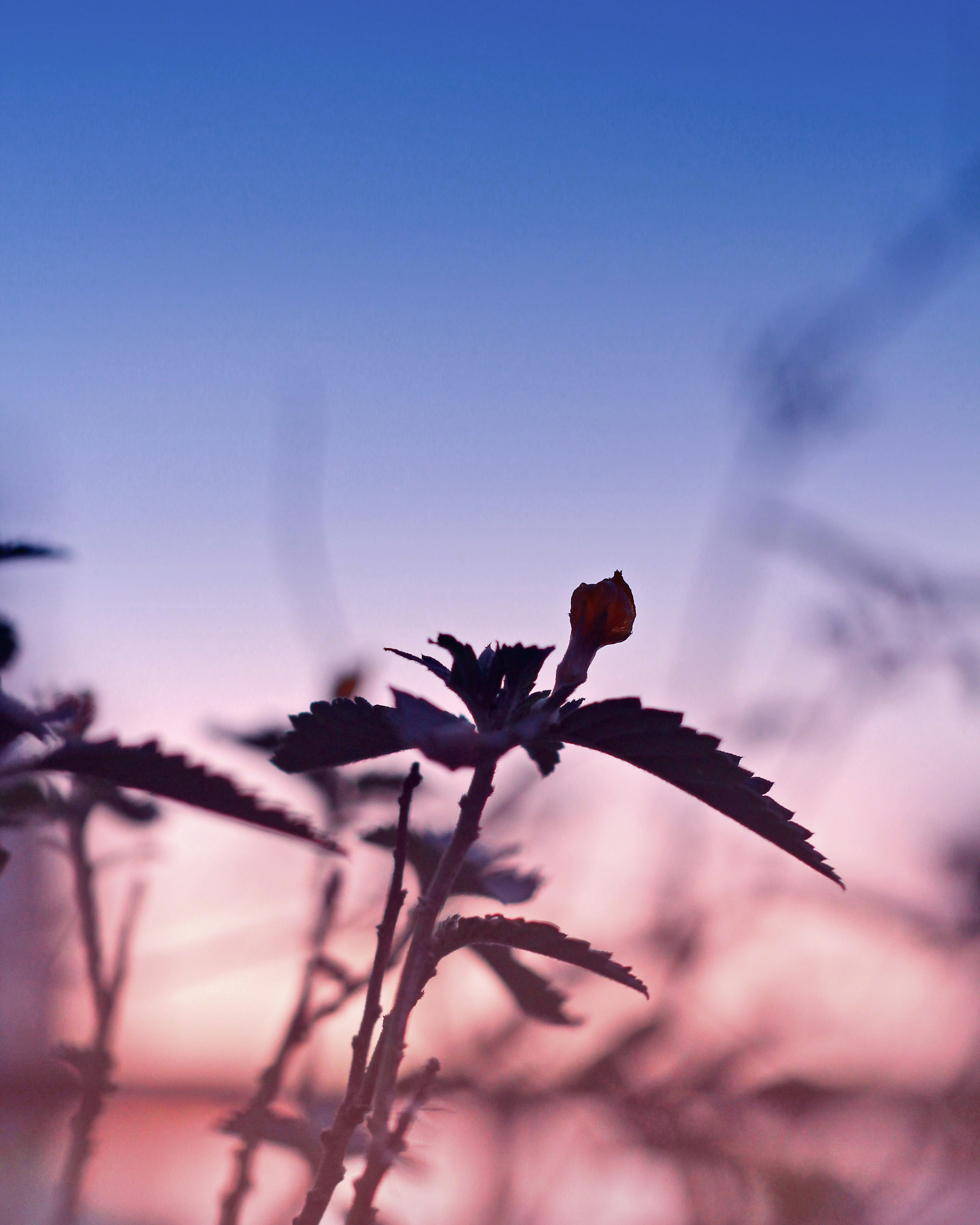 Free Unsplash photo from Sang Huynh