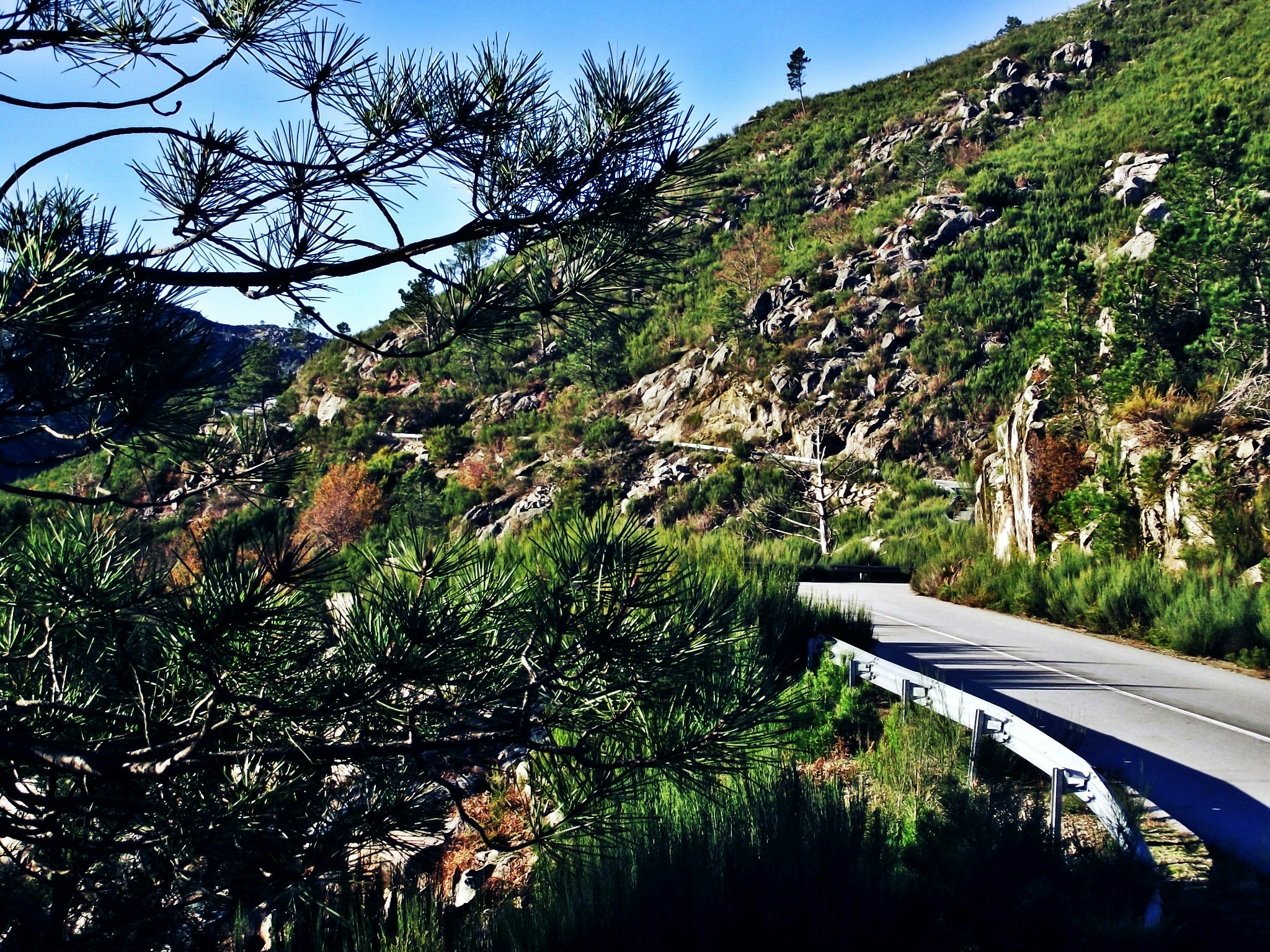 Free Unsplash photo from Helder Silva