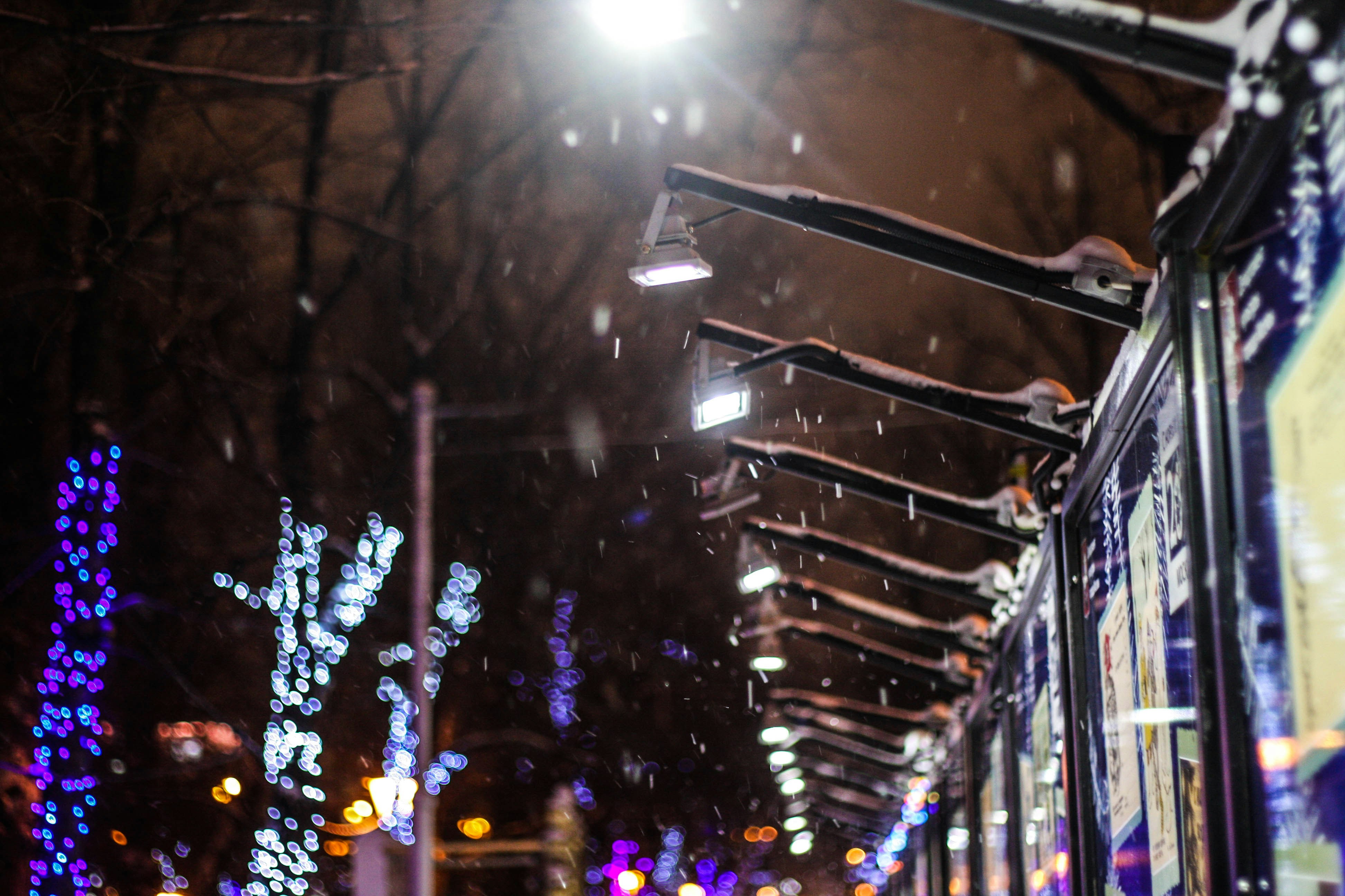 Free Unsplash photo from Catherine Zaidova