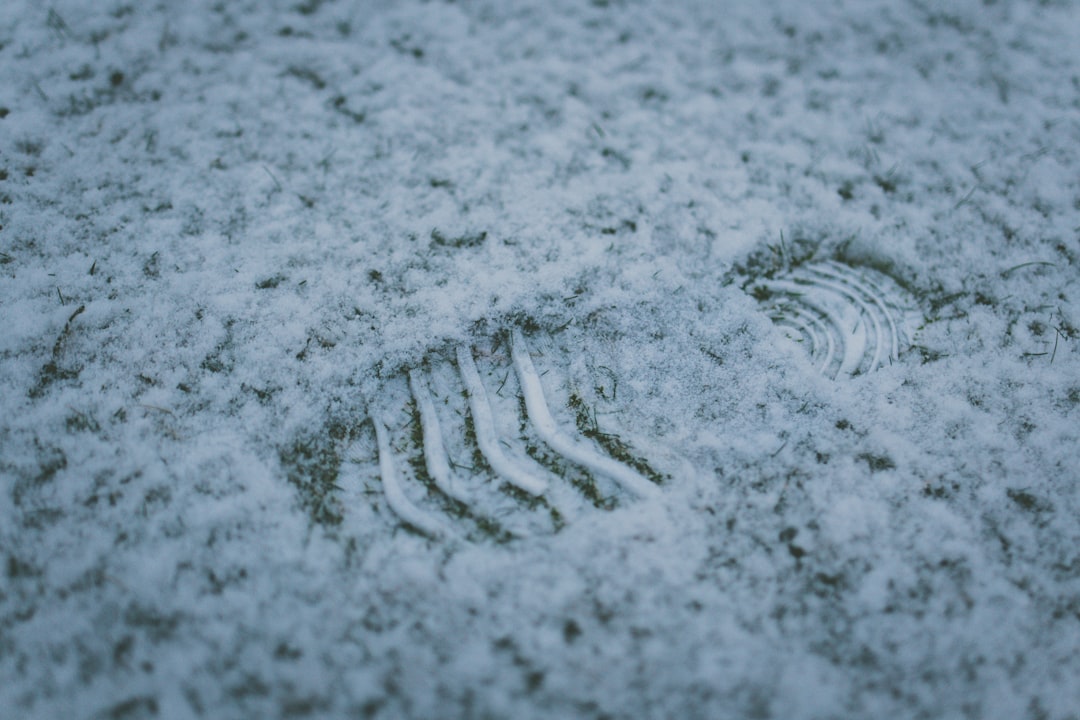 macro photography of footprint