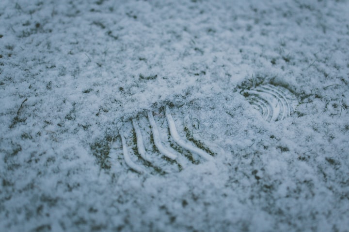 Snow Falls:The Footprints