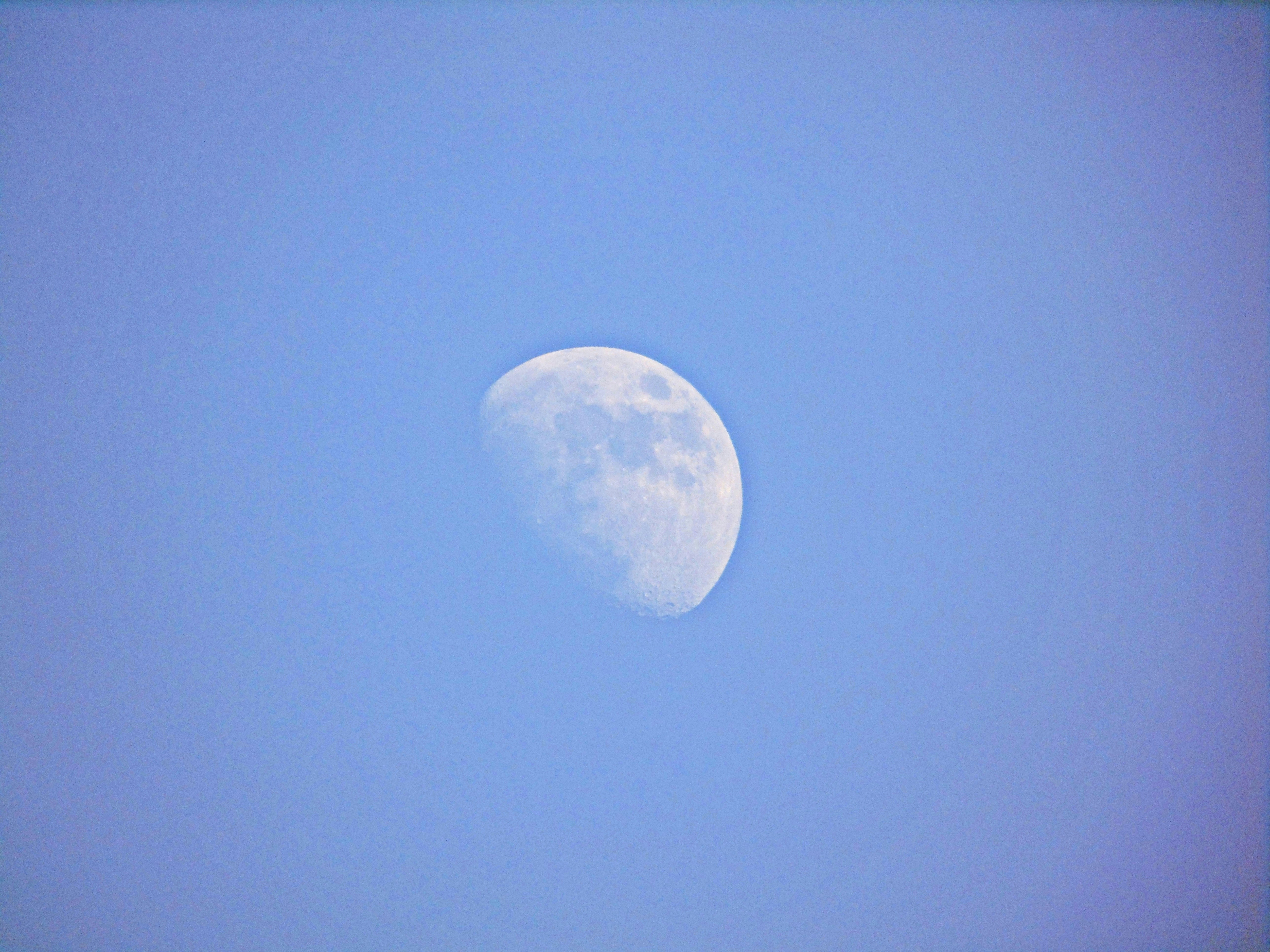 Free Unsplash photo from Nathan Junior