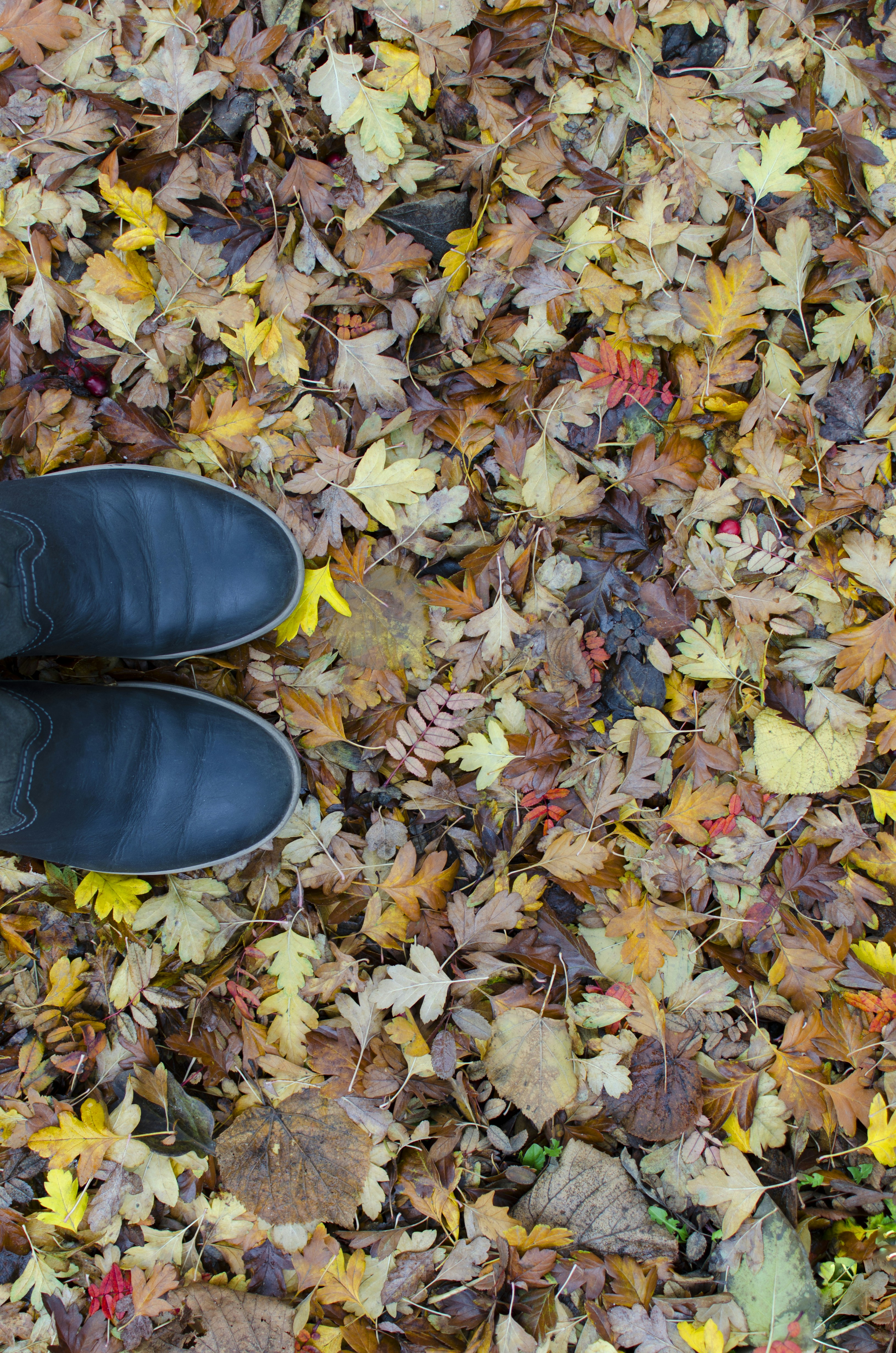 Free Unsplash photo from Kate Chikina