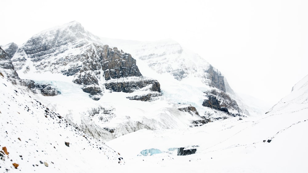 Schneebedecktes Land