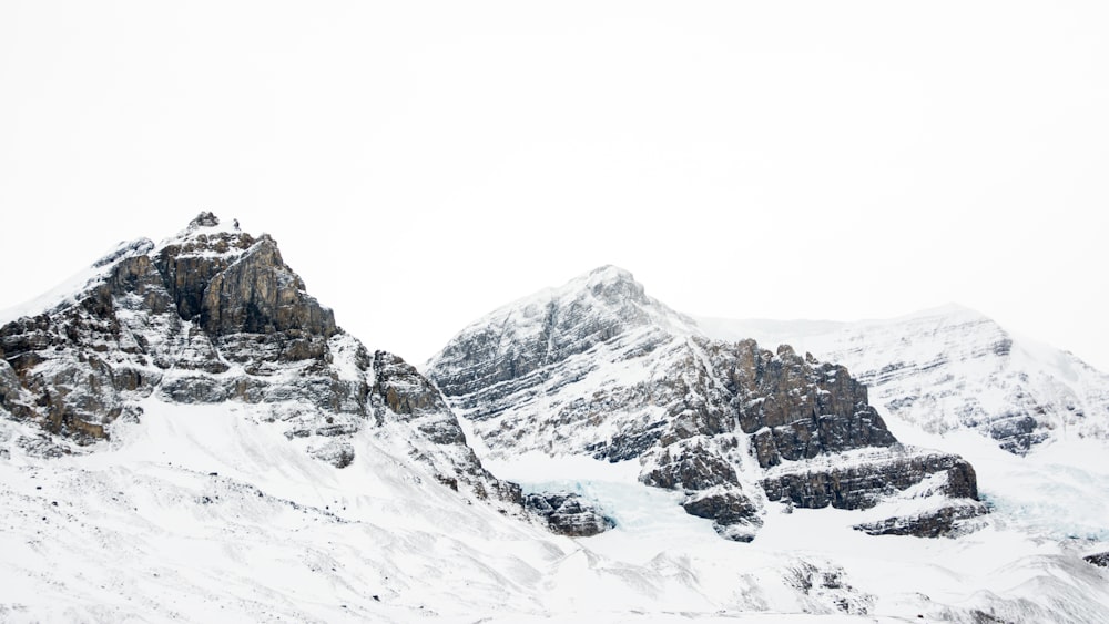 land covered in snow