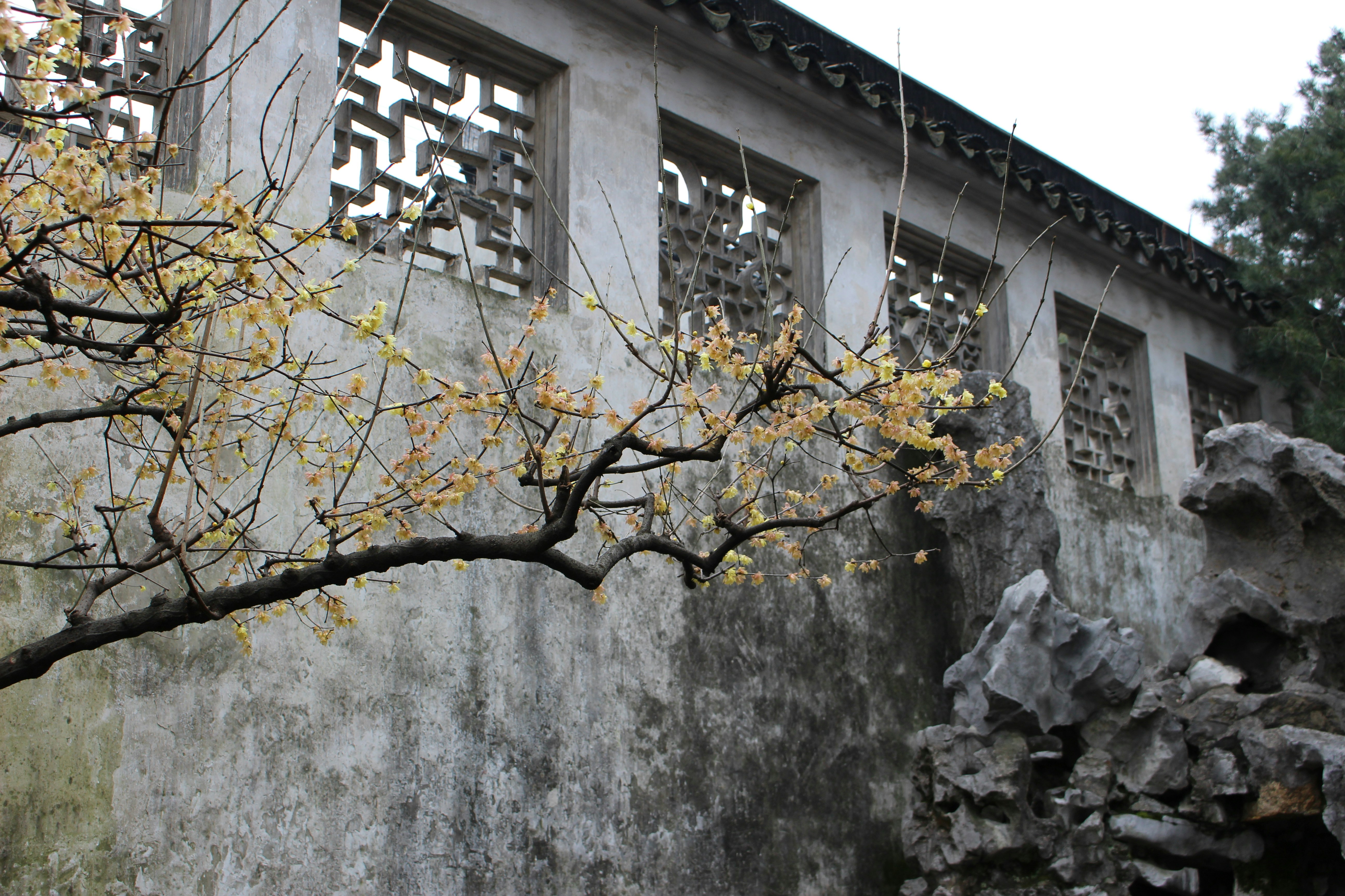 Free Unsplash photo from Jihye Yu