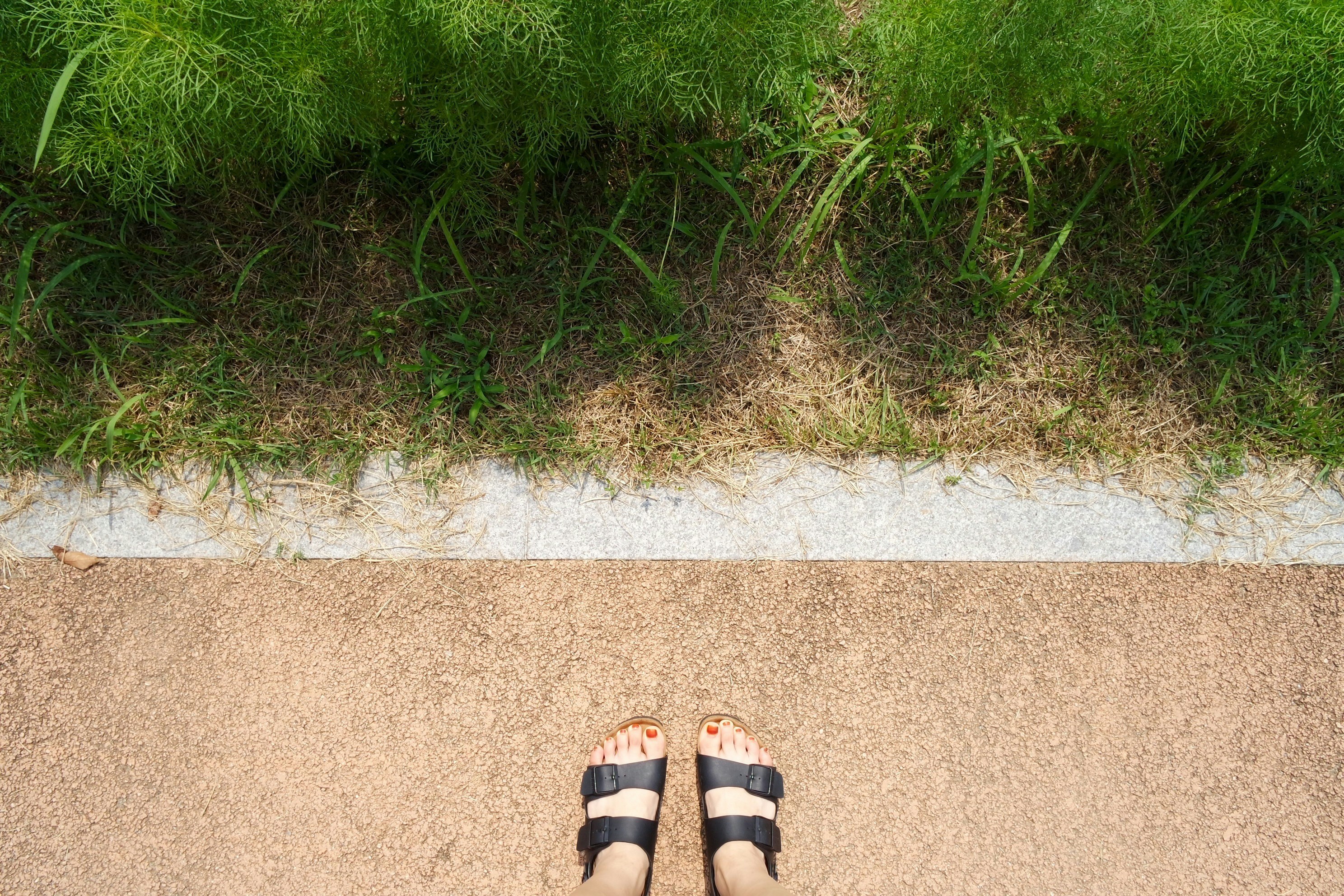 Free Unsplash photo from Jihye Yu