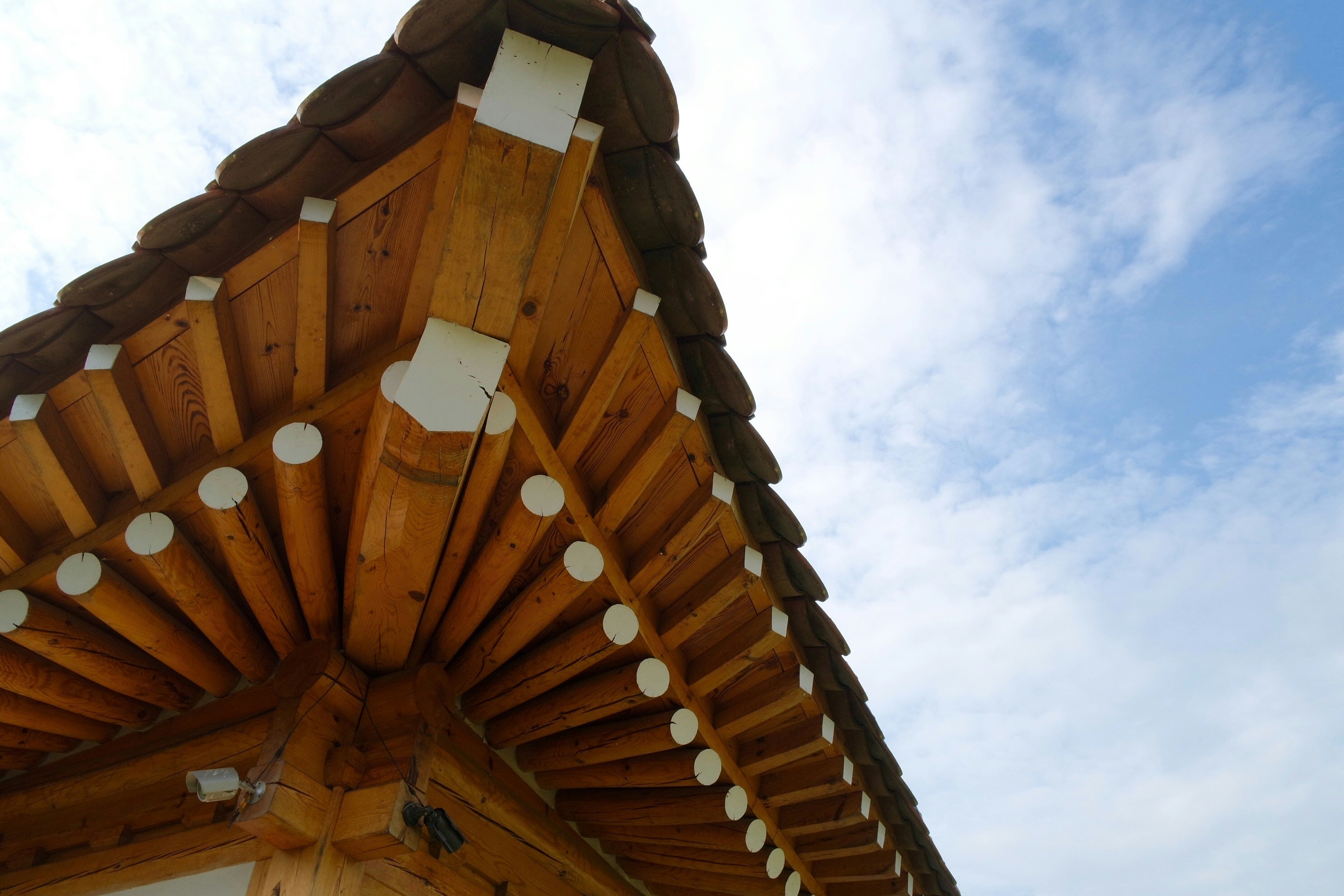 Free Unsplash photo from Jihye Yu