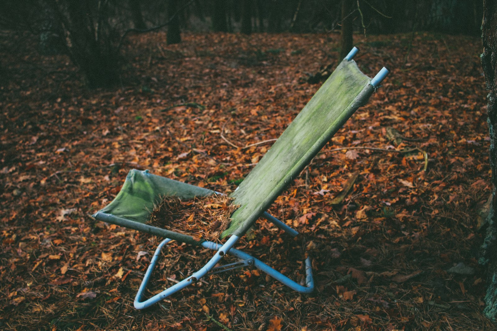 Canon EOS 70D + Canon EF-S 24mm F2.8 STM sample photo. Folding lounger on dried photography