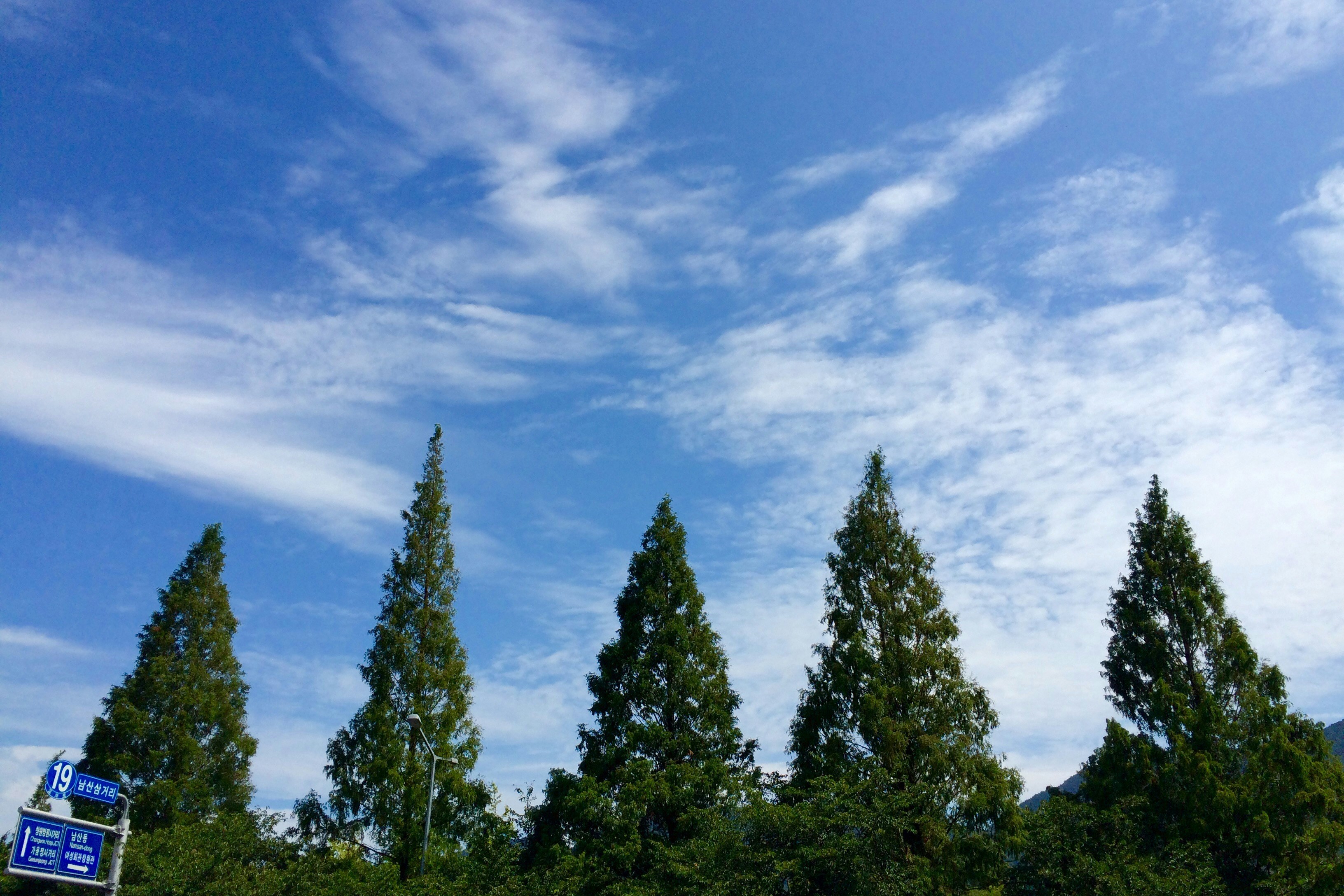 Free Unsplash photo from Jihye Yu