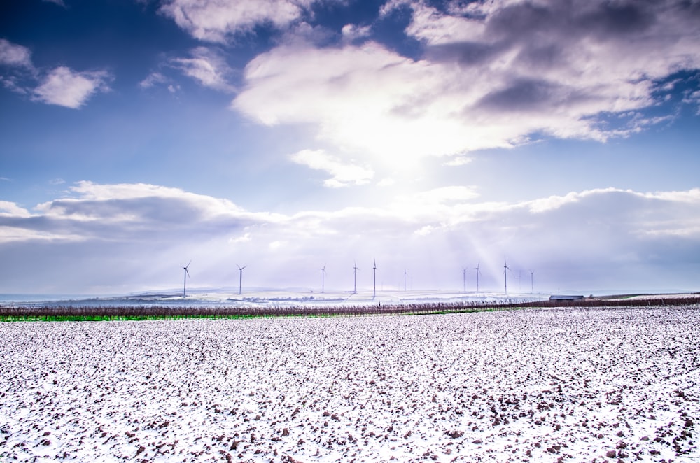 several gray windmill during daytime photography