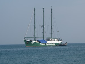 A large ship with three masts sails on calm waters. The ship is named 'Rongdhonu Friendship Hospital' and appears to be equipped for its purpose, suggesting a hospital ship. The sky is clear with a light blue tone, and there is a smaller boat docked alongside the main vessel.