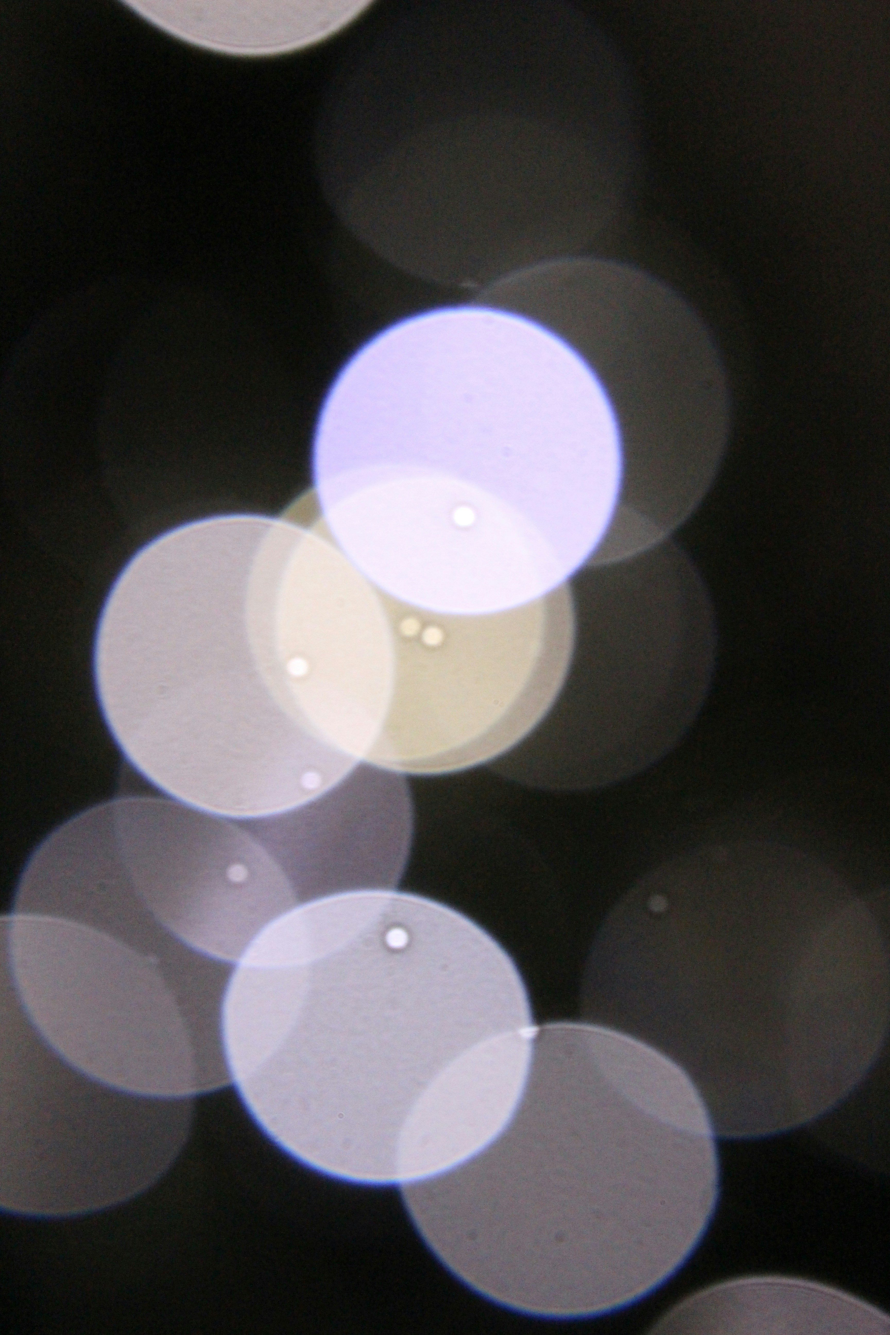 Free Unsplash photo from Emily Morter