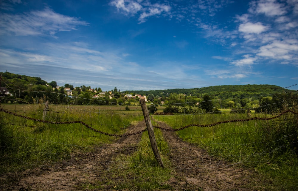 Campo verde perto das montanhas fotografia