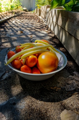 A white bowl filled with fresh garden vegetables, including tomatoes and yellow beans, placed on a sunlit garden path. The shadows of a trellis cast grid-like patterns on the path, with garden beds visible on the sides.