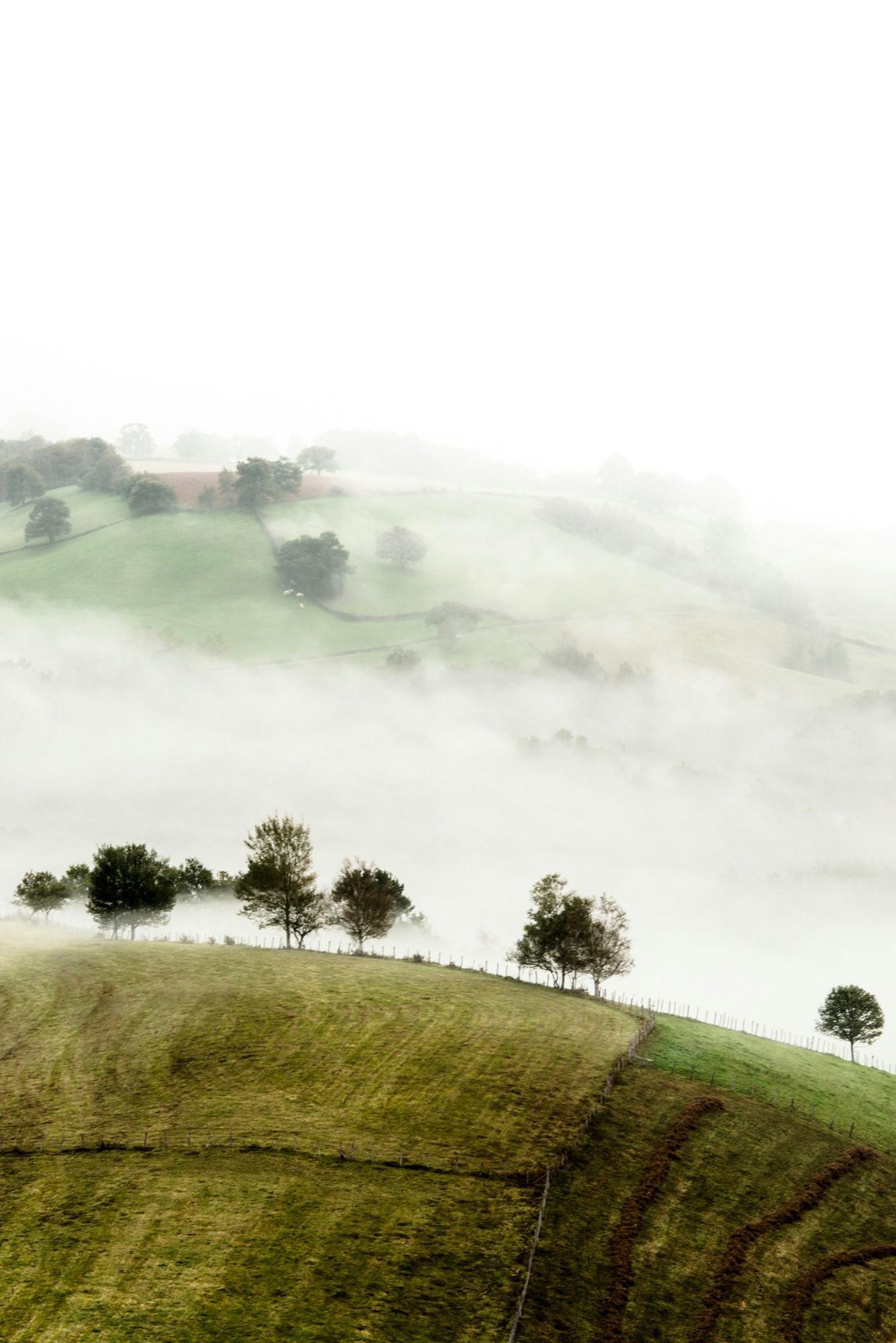 Free Unsplash photo from Edouard Ducos