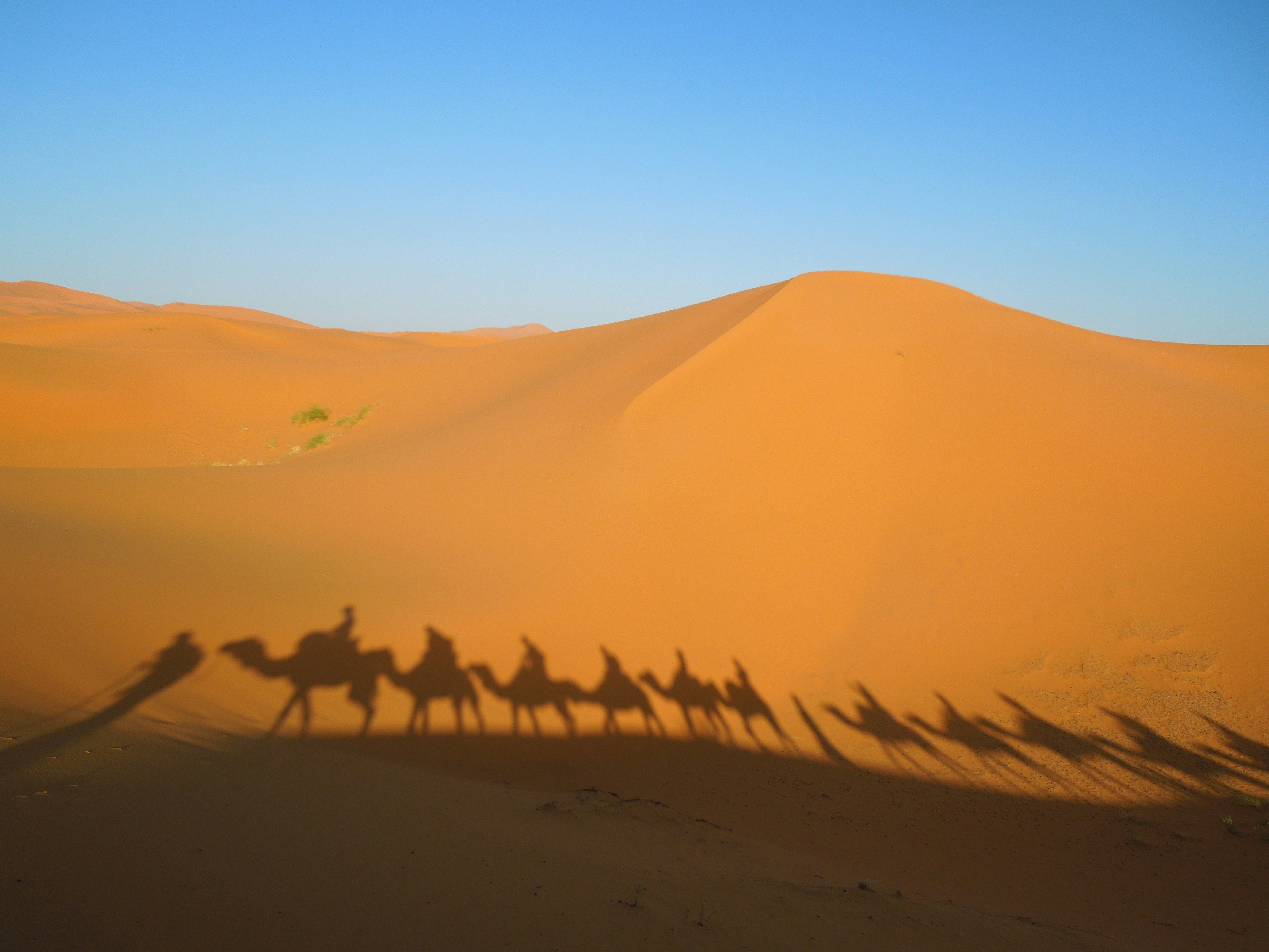 Free Unsplash photo from Anja Schindler