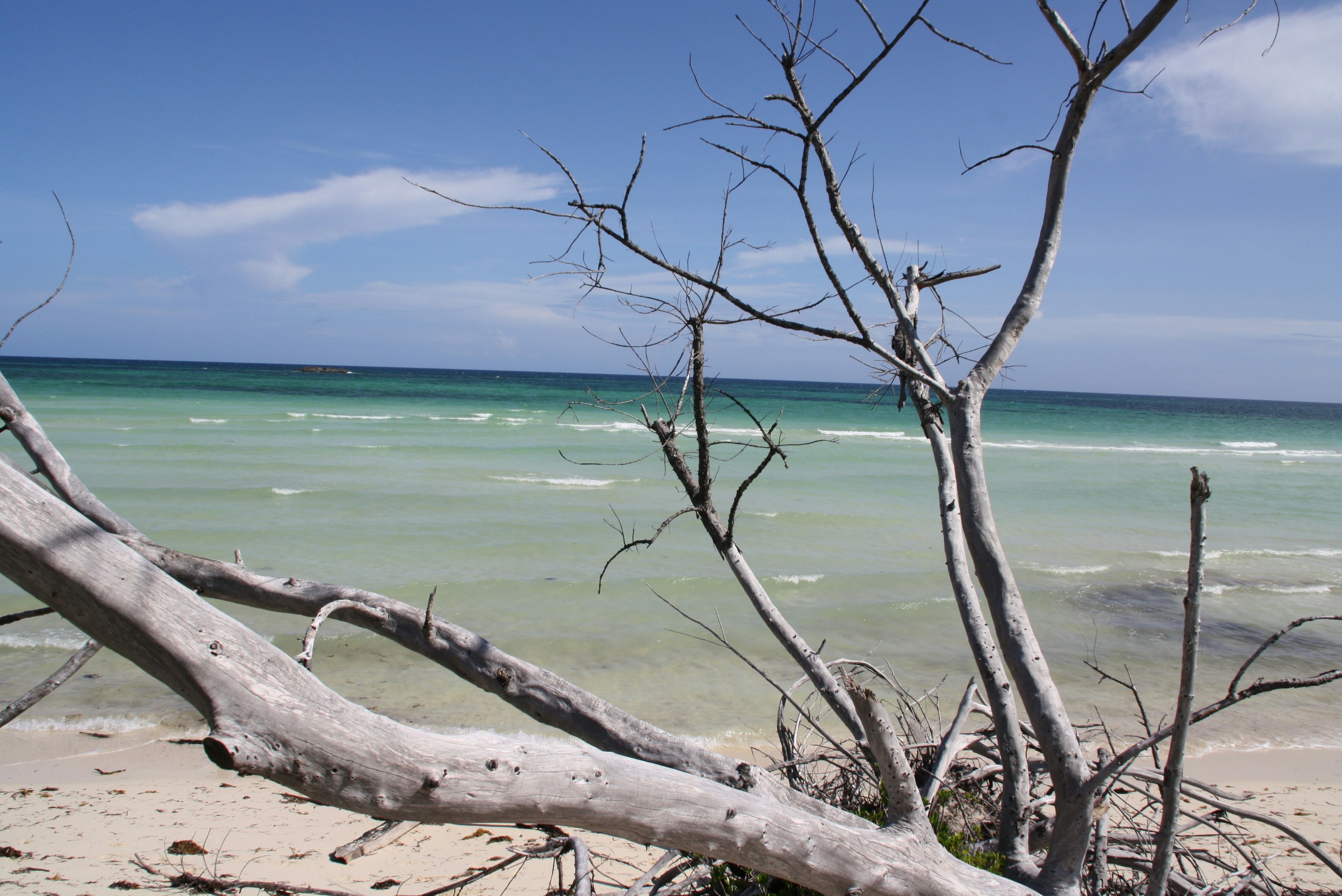 Free Unsplash photo from Anja Schindler