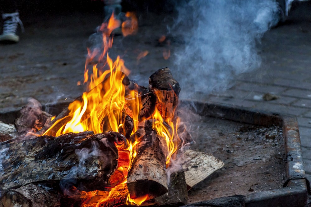 bonfire on fire pit